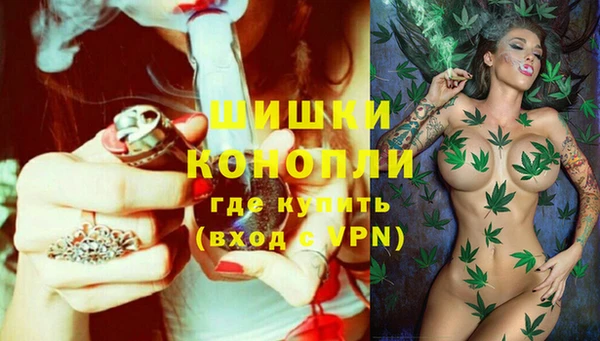 spice Белокуриха