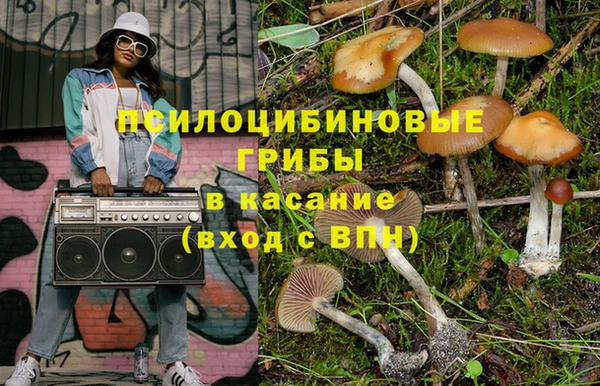spice Белокуриха