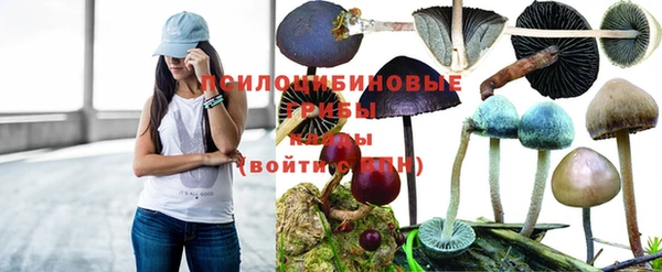 spice Белокуриха