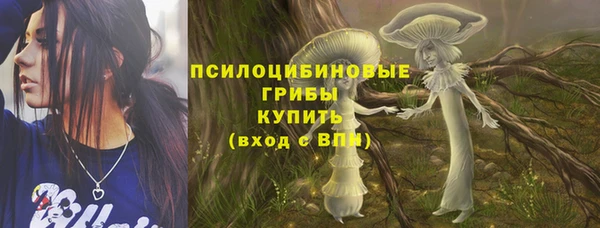 spice Белокуриха